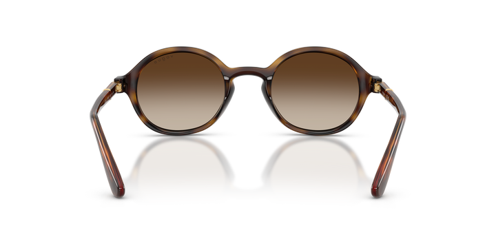 reval-myl-photo:VO5692S_W65613:0vo5692s_w65613_p21_shad_bk #color_havana-oscuro-marron-degrade