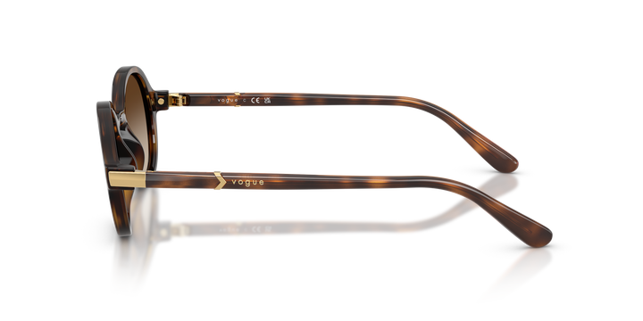 reval-myl-photo:VO5692S_W65613:0vo5692s_w65613_p21_shad_lt #color_havana-oscuro-marron-degrade