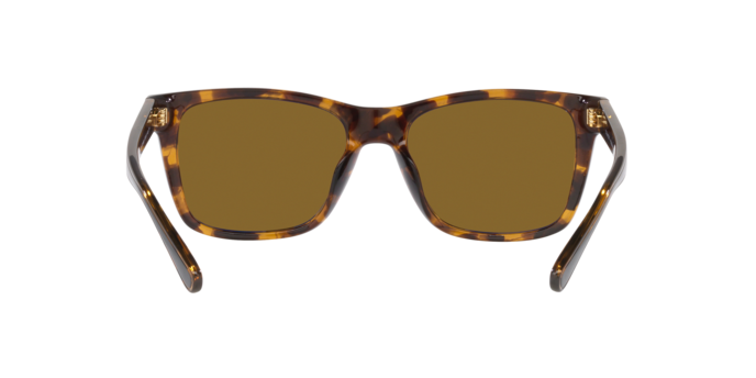 COACH 0HC8359U 512083 CAREY OSCURO POLARIZADO